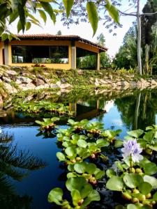 伊比科阿拉Pousada Raposa的花池和背景建筑