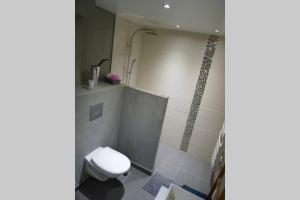 兰斯LOVEROOM REIMS的一间带卫生间和淋浴的浴室