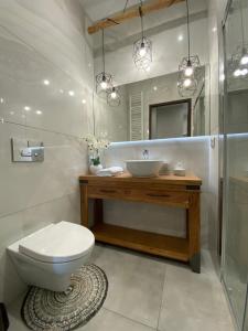 扎维尔切Aparthotel Riva的一间带卫生间、水槽和镜子的浴室