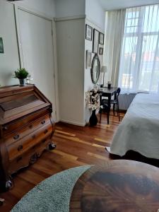 瓦瑟纳尔Cosy appartement Wassenaar的一间卧室配有一张床、梳妆台和书桌