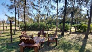 皮里亚波利斯Complejo Cabañas Piriápolis的树木繁茂的公园里的野餐桌椅