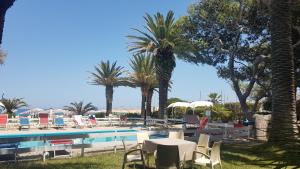 锡尔维玛丽娜Hotel Silvi的一个带椅子和桌子的游泳池,并种植了棕榈树