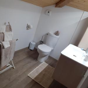 Saint-Sylvestre-sur-Lotlocation chambre d hotes clodeguy No 1的一间带卫生间和水槽的浴室