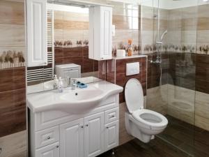 鲍洛通费尼韦什Holiday Home Dekany - FOD151 by Interhome的浴室配有白色水槽和卫生间。