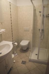 罗格坡曼戈唐Apartma Miranda的带淋浴、卫生间和盥洗盆的浴室
