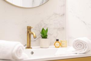 圣弗洛朗Hôtel Flor的浴室水槽设有金色水龙头和镜子