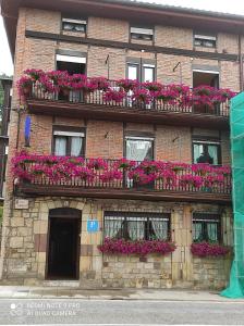 卡韦松·德·拉·萨尔Pensión Rosa的一座砖砌建筑,阳台上布满了粉红色的花朵