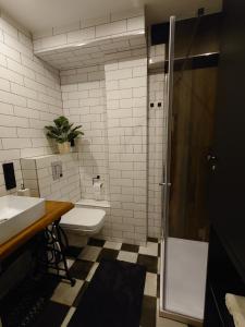 扎科帕内ZakoRustic的浴室配有卫生间、盥洗盆和淋浴。