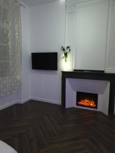 佩皮尼昂Suite Miro Charme et volupté的客厅设有壁炉和电视。