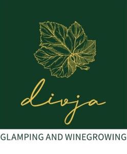 Zgornja KorenaBoutique Glamping Divja DiVine的绿色背景的金色标志