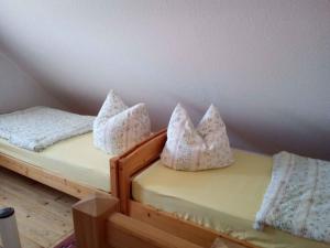 克劳斯多夫Apartment Klausdorf 2的客房内的两张单人床和枕头