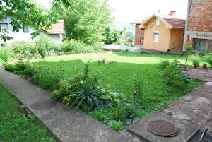索科矿泉村Apartmani ,studija i sobe Savić的花园,草坪上种有植物,房子