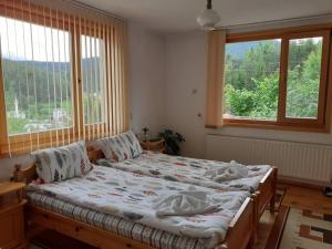 亚戈迪纳Guest House Stoletnika的一间卧室设有一张床和两个窗户。