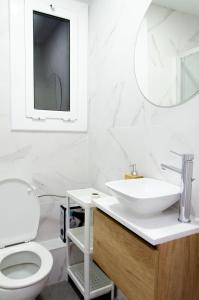 巴塞罗那Apartamento NUEVO con encanto en SAGRADA FAMILIA的一间带水槽、卫生间和镜子的浴室