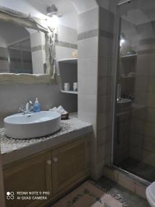 帕特莫斯Lampi's House的一间带水槽和淋浴的浴室