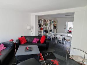 塞尔布Ferienhaus Rosengarten的客厅配有黑色沙发和红色枕头