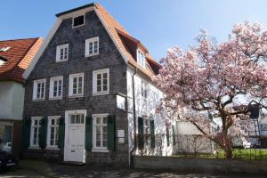 索斯特Dudenhaus Soest / Anno 1554 / Am Brauhaus Zwiebel的前面有一棵开花的树的房子