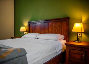 图兰克多里斯公寓的一间卧室设有一张大床和绿色的墙壁