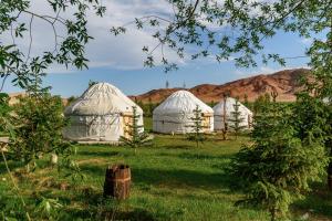Këk-SayJaichy Yurt Camp的两个圆顶,位于一个有山背景的田野