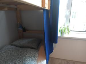 克拉科夫Evergreen Hostel Krakow的一间卧室配有双层床和窗户。