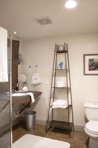 奥林匹克谷PlumpJack Inn的浴室设有水槽和卫生间旁的梯子