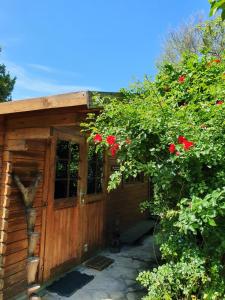 Caumont-sur-DuranceLa Cabane du Pesquier en Provence的小木屋前方有红色鲜花