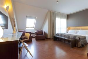 塞维利亚塞维利亚顶点酒店的配有一张床和一张书桌的酒店客房