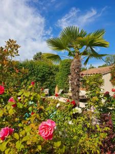 Caumont-sur-DuranceLa Cabane du Pesquier en Provence的玫瑰园中间的棕榈树