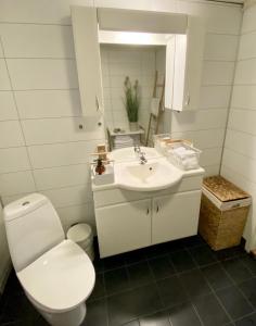 特罗姆瑟Two bedroom apartment near the city centre.的白色的浴室设有卫生间和水槽。