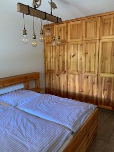 卡奇山口Katschi Lodge的一间卧室配有一张蓝色的床和木制橱柜。