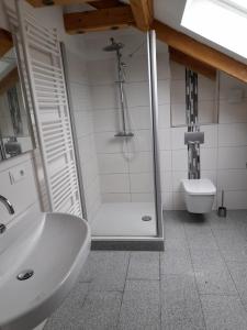 StadtsteinachHaus Lehenthaler的带淋浴、盥洗盆和卫生间的浴室