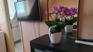 基什孔弗莱吉哈佐奥兹斯艾特姆酒店的两瓶花,花紫色放在电视旁边的桌子上