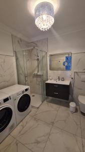 不莱梅R&S Apartments Bremen的一间带洗衣机和水槽的浴室