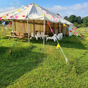 温彻斯特Bell tent glamping at Marwell Resort的田野上带椅子和桌子的帐篷