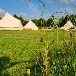 温彻斯特Bell tent glamping at Marwell Resort的草场,有帐篷在后面