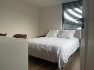 德科赫N9 Texel的一间卧室配有一张带白色床单的床和一扇窗户。