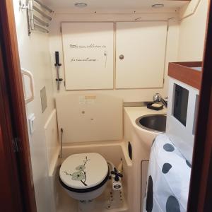 Orufara2 nuits insolites & 1 excursion voile à bord du voilier Mori Ora的一间带卫生间和水槽的小浴室
