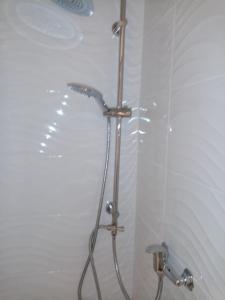 第戎Le petit Saint Bernard的浴室内带软管的淋浴