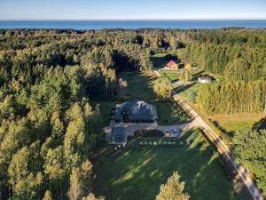 拉脱维亚Putnu pirts的树木林地房子的空中景观