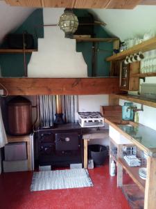 TuamgraneyCastaway Cabin的一间厨房,内设老式炉灶