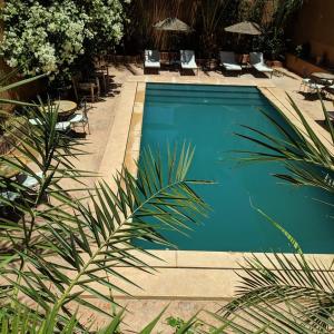 瓦尔扎扎特布舍多摩洛哥传统庭院住宅的一个带椅子的蓝色游泳池和棕榈树