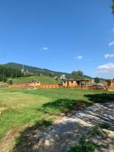 CiocăneştiLa Casuta din Ciocanesti Exclusive的草地,有围栏,背景