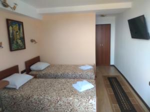兹拉托格勒Panorama Family Hotel的小型客房的两张床,墙上配有电视