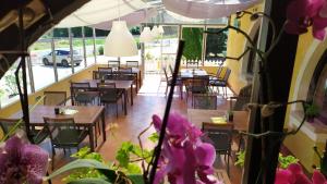 阿布劳哈姆海吉Arcadia Guesthouse的餐厅设有桌椅和紫色鲜花