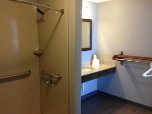 默夫里斯伯勒Safari Inn - Murfreesboro的一间带水槽和镜子的浴室