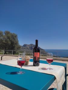 卡拉古诺内Hotel Pranos Turismo Rurale Cala Gonone的一张桌子上放着一瓶葡萄酒,放上两杯