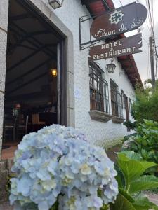 康塞普西翁德阿塔科Hotel & Restaurant Fleur de Lis的建筑前的一束蓝色花