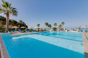 阿尔布费拉伊莎贝尔莫妮卡海滩俱乐部酒店的一座棕榈树和海洋的大型游泳池