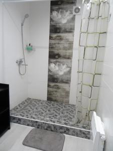 克洛佩夫尼茨基Apart Poltavska的带淋浴的浴室(铺有石质地板)