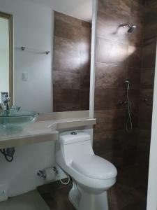 La PazHOTEL SAN PEDRO的浴室配有卫生间、盥洗盆和淋浴。
